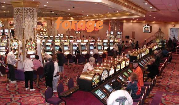 forage Live Sportsbook Markets at Your Fingertips
